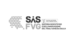 SiS FVG