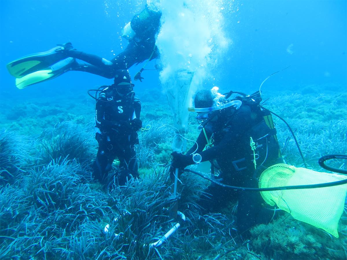 Eccsel NatLab Italy - Operazioni sub Panarea