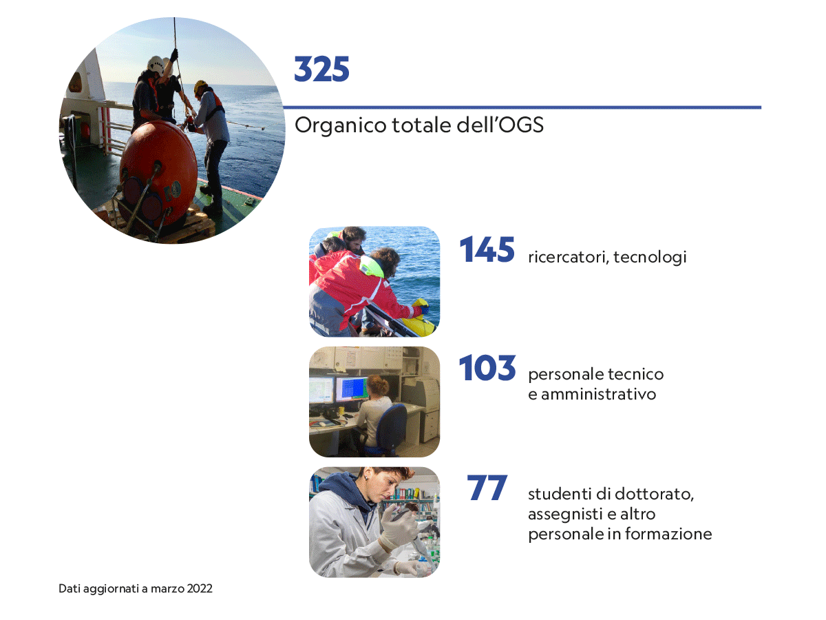 Organico marzo 2022