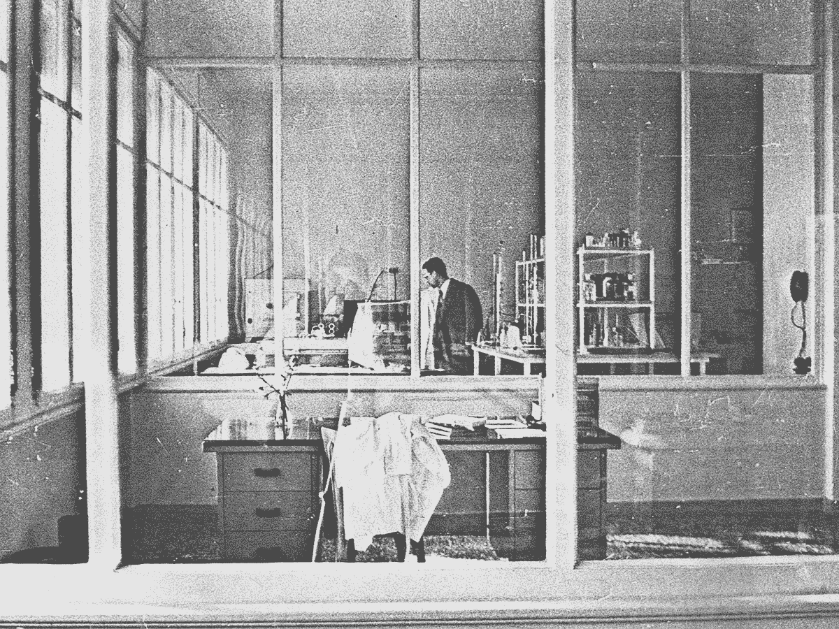 Il laboratorio di chimica in Riva Ottaviano Augusto 9 a Trieste