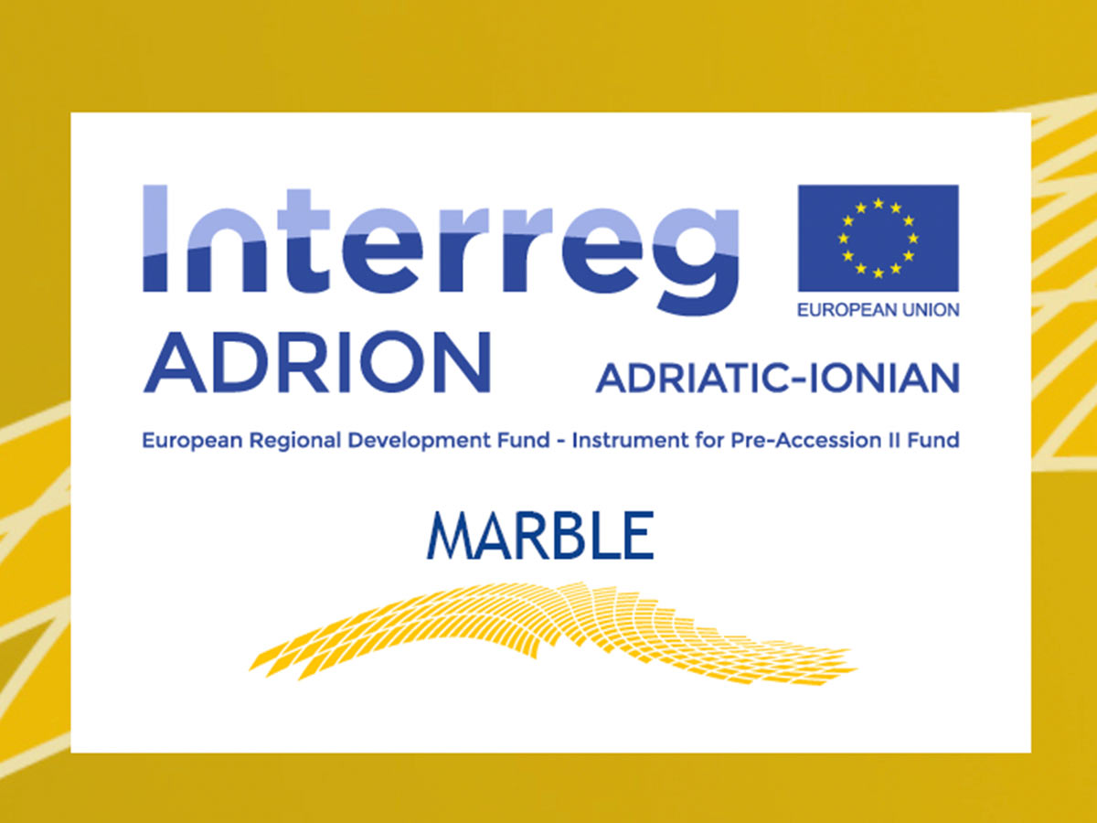 Logo del progetto Marble