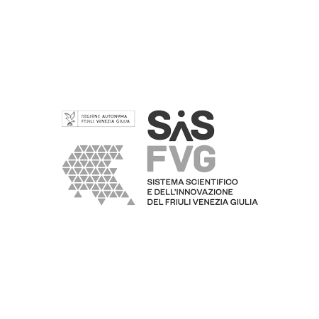 SIS FVG