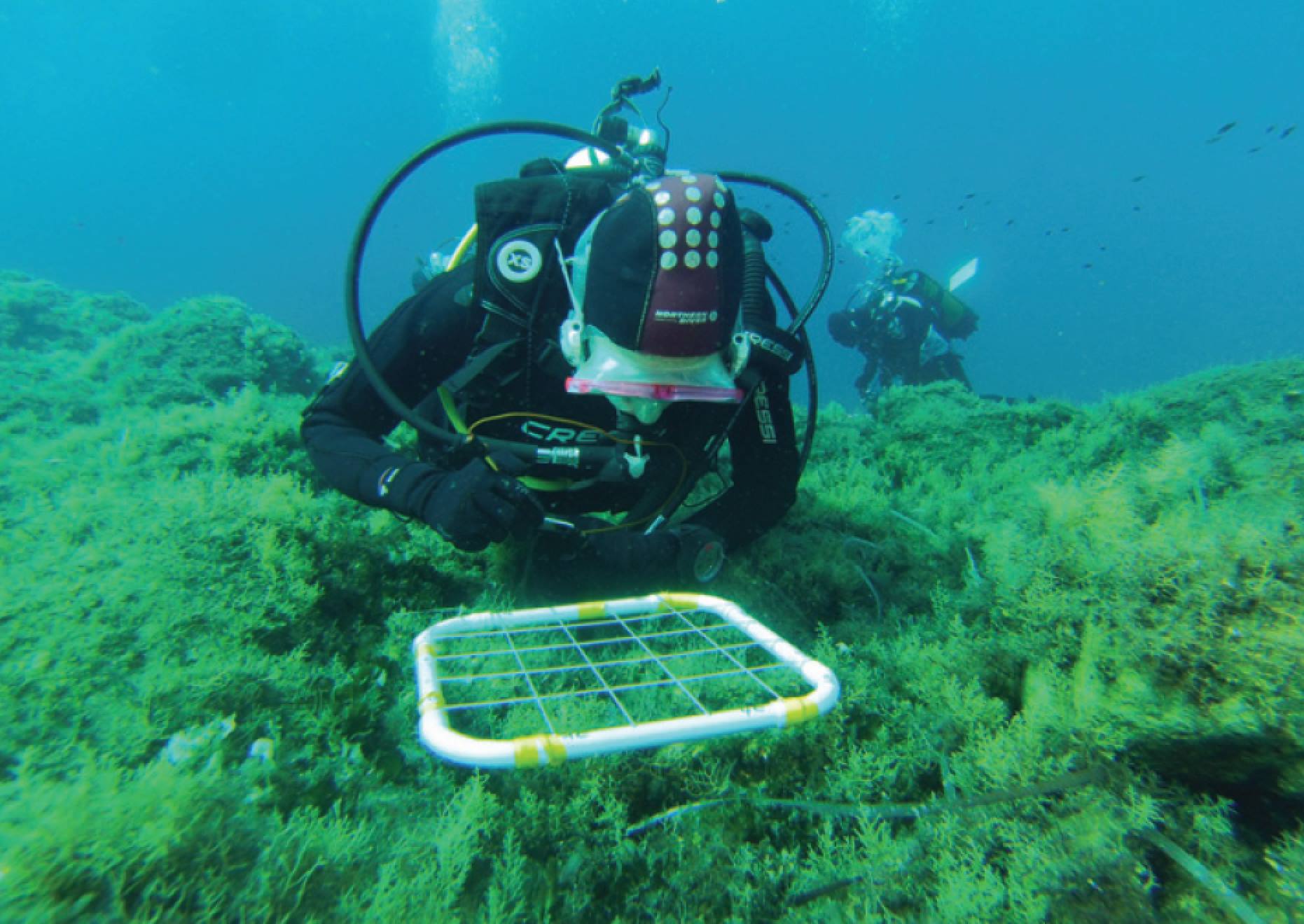 diving summer school panarea