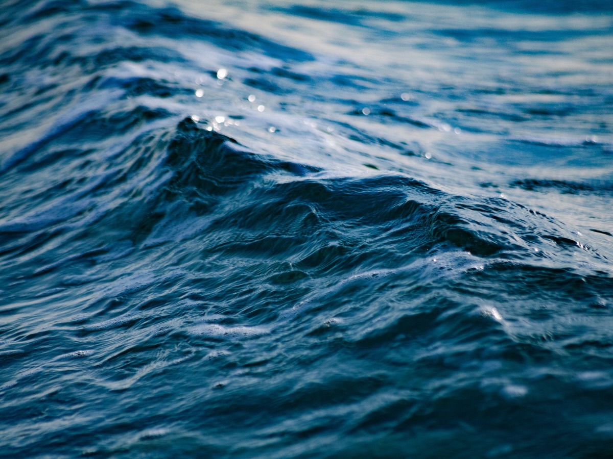 Mare