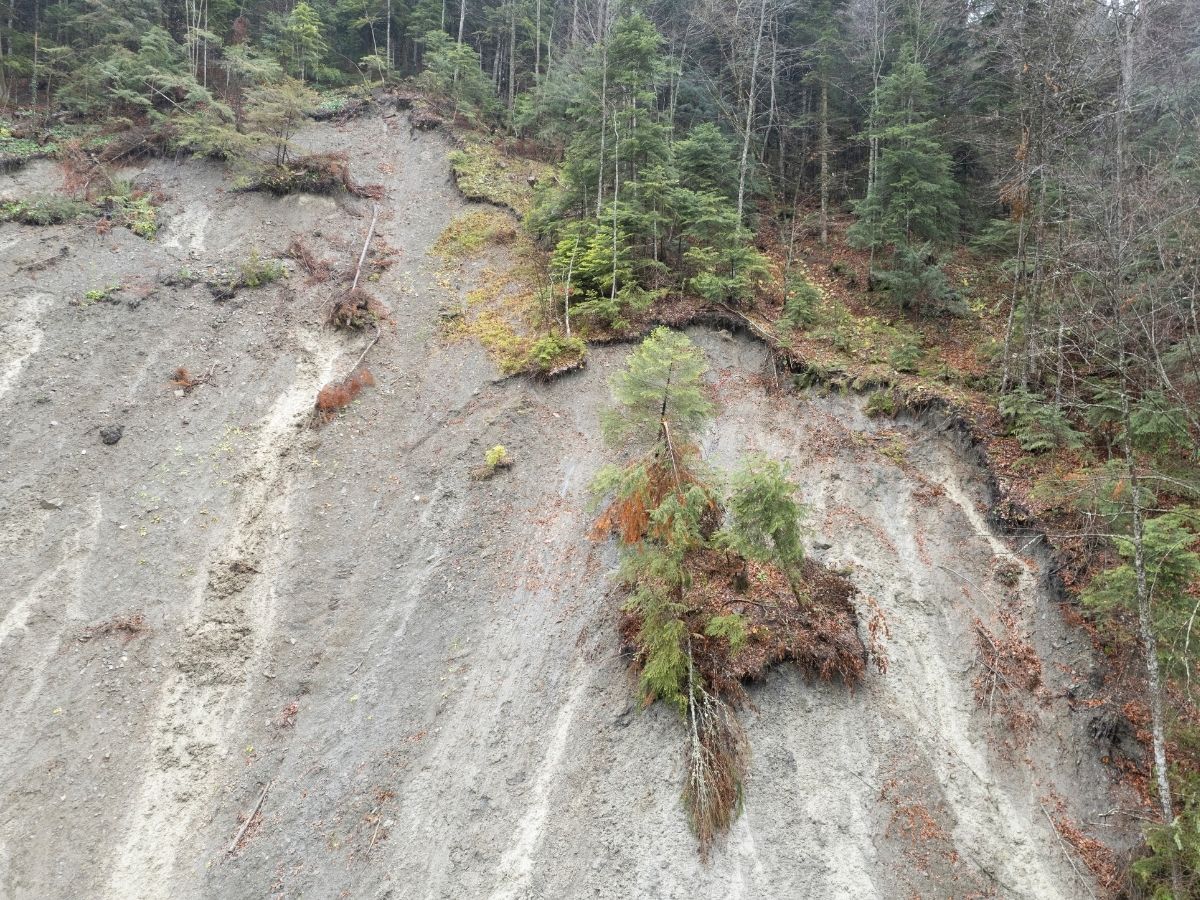 Progetto Cadore