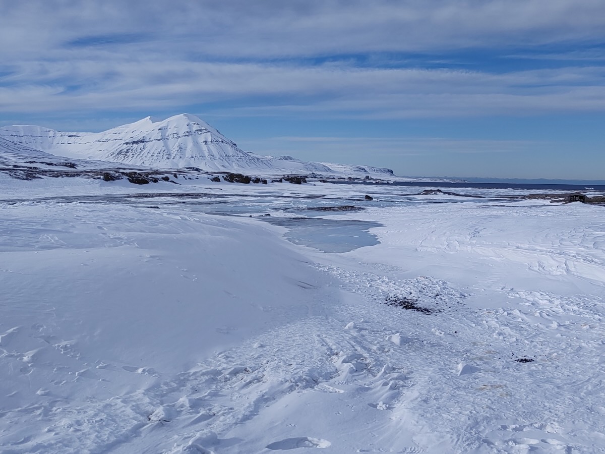 Artico Svalbard