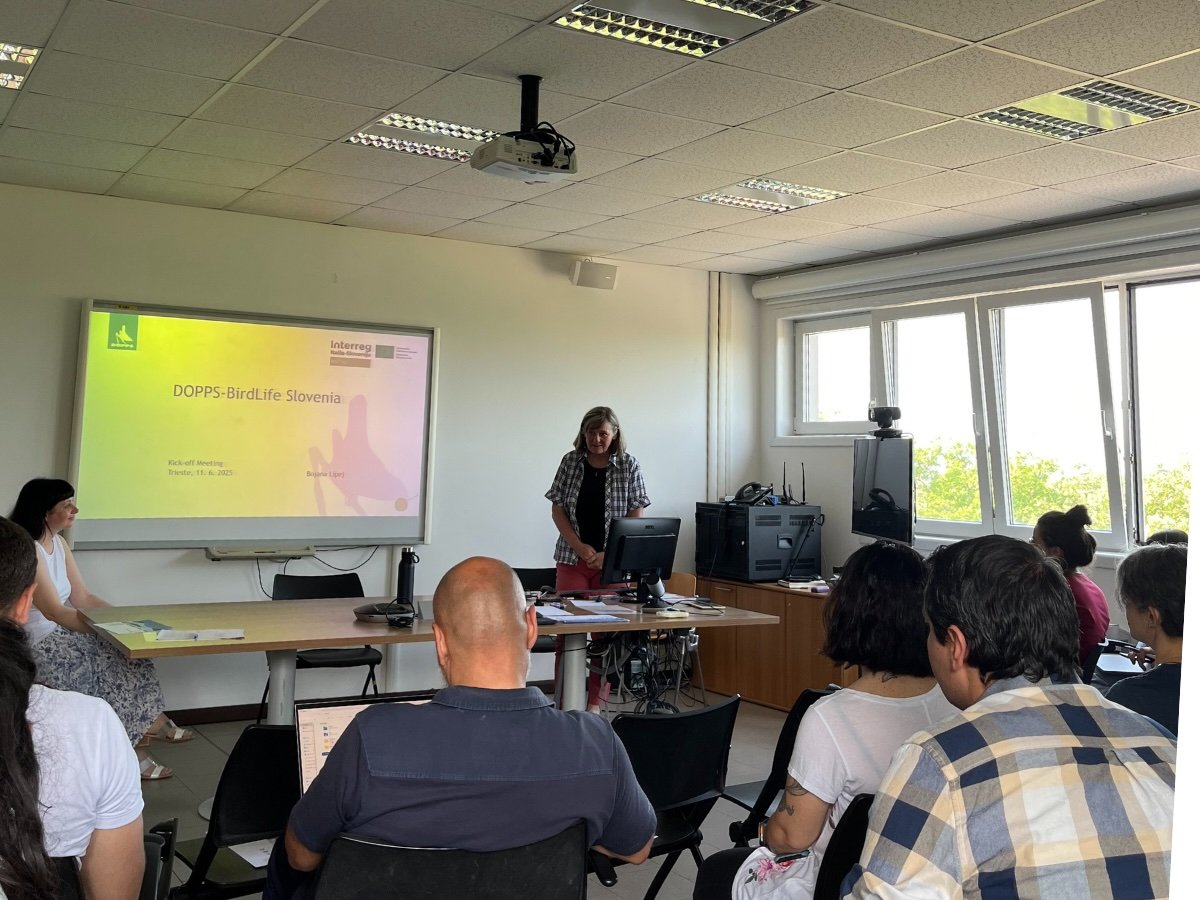 Kick off meeting progetto BioTiles