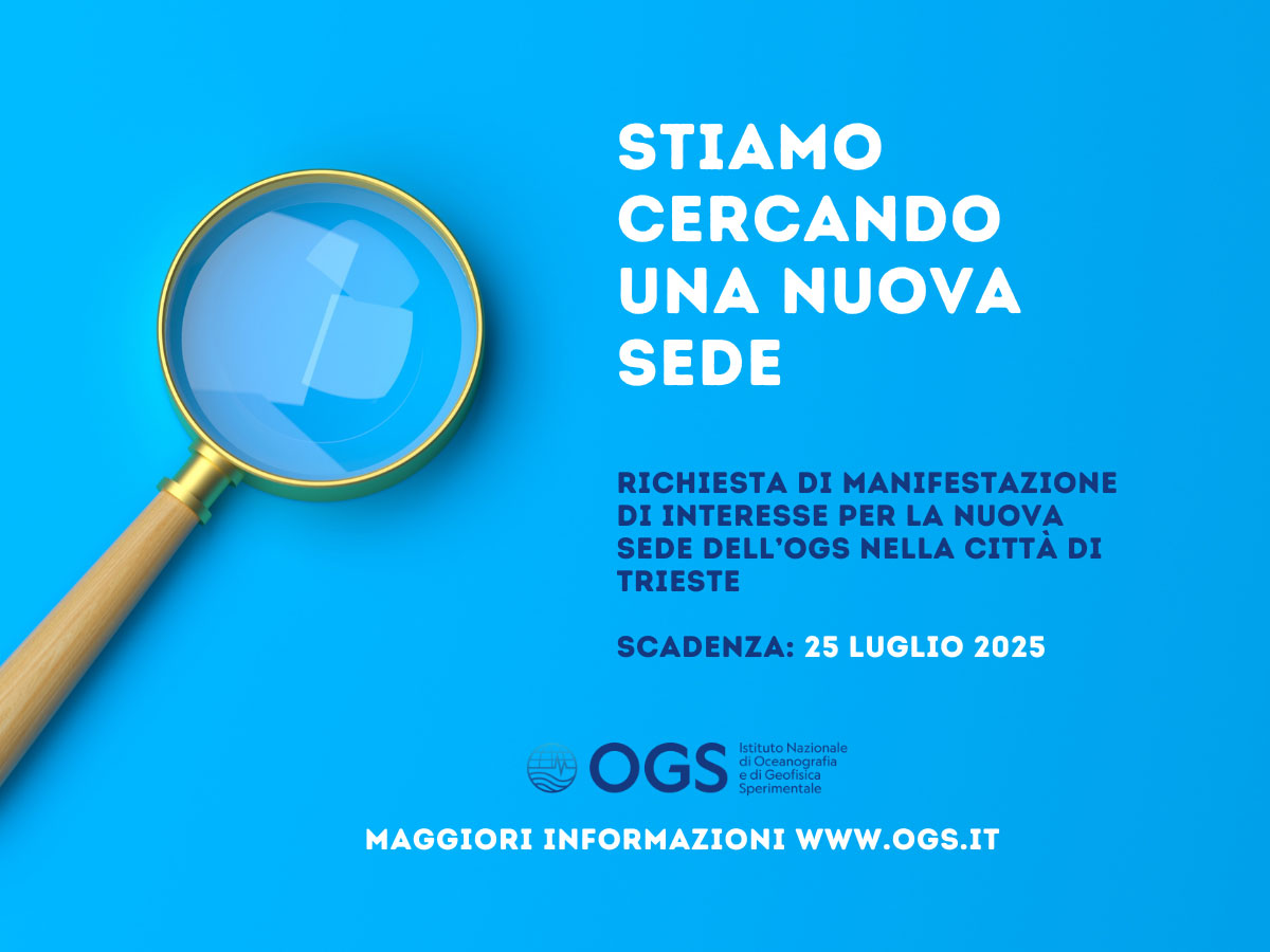 ricerca nuova sede web