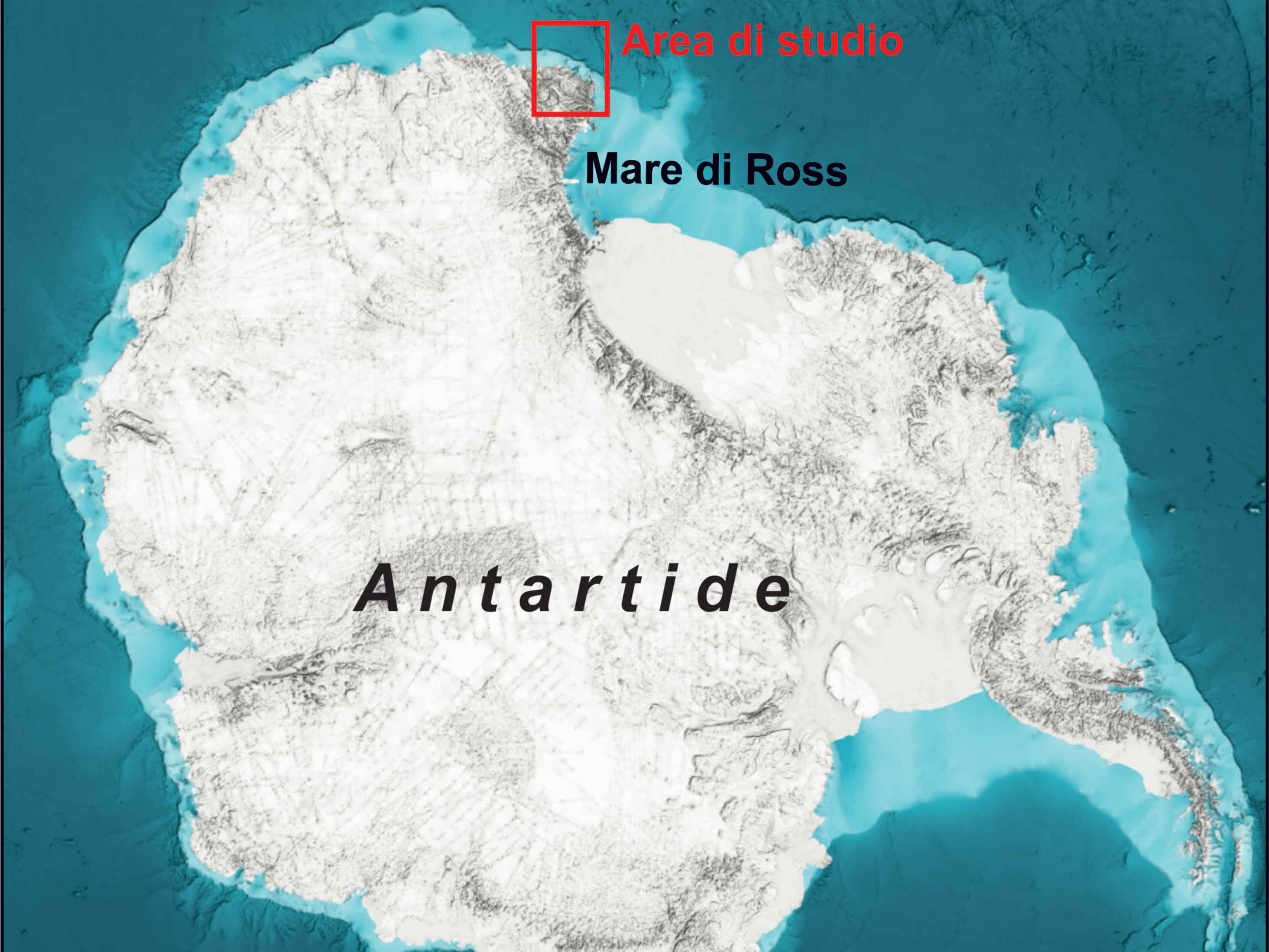 studio dario civile e crispini