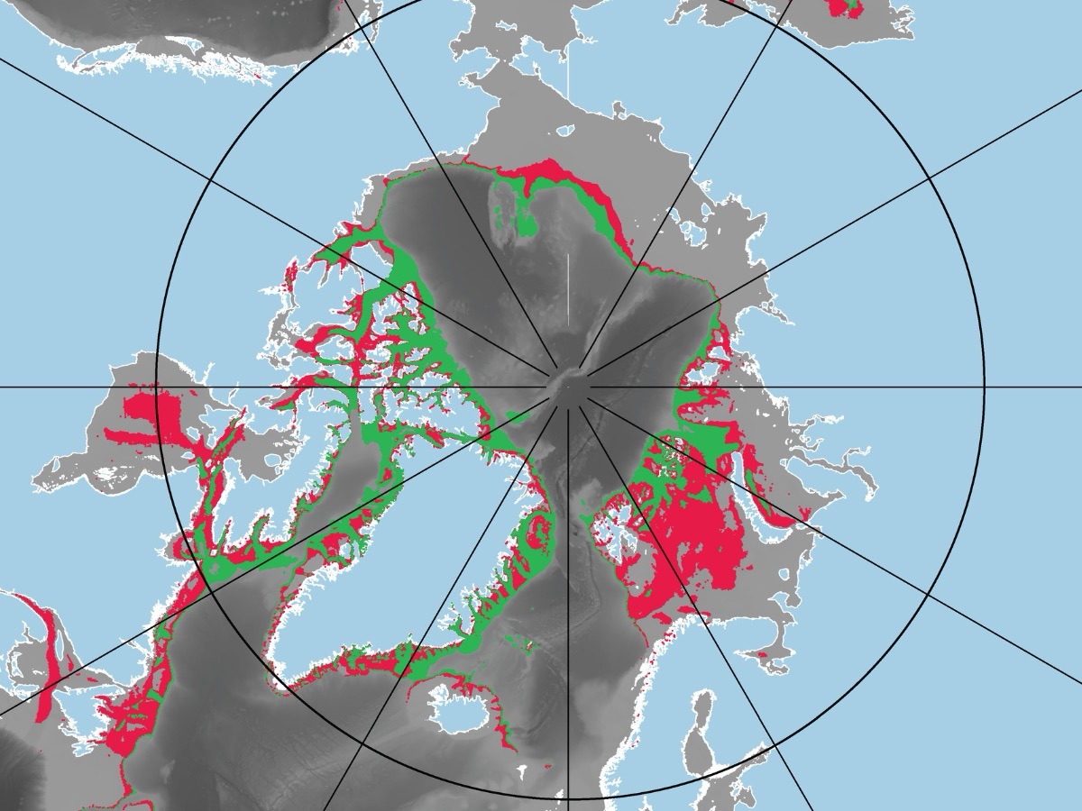 Idrati di anidride carbonica
