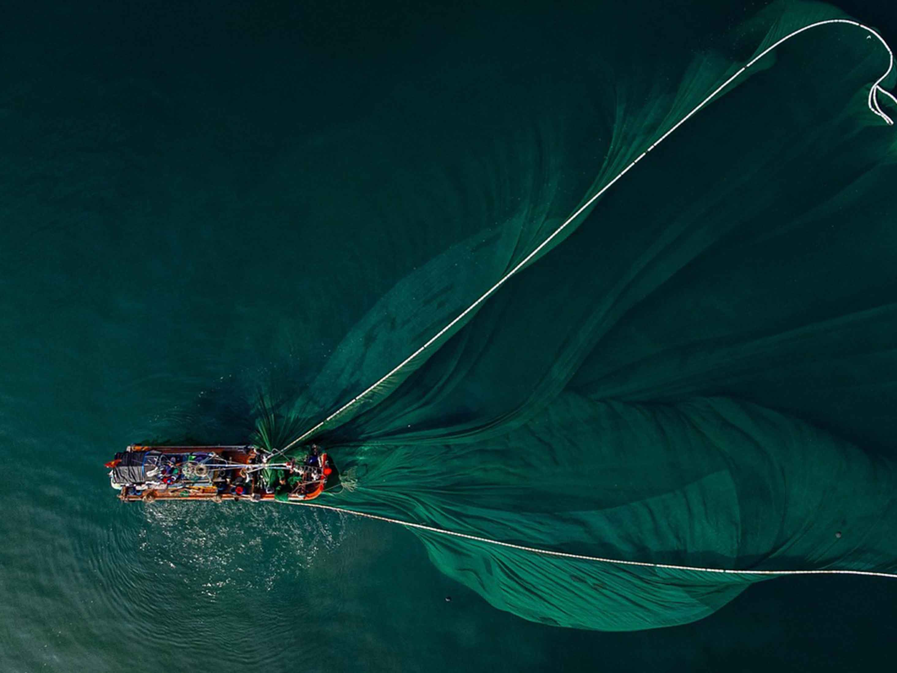 pesca a strascico
