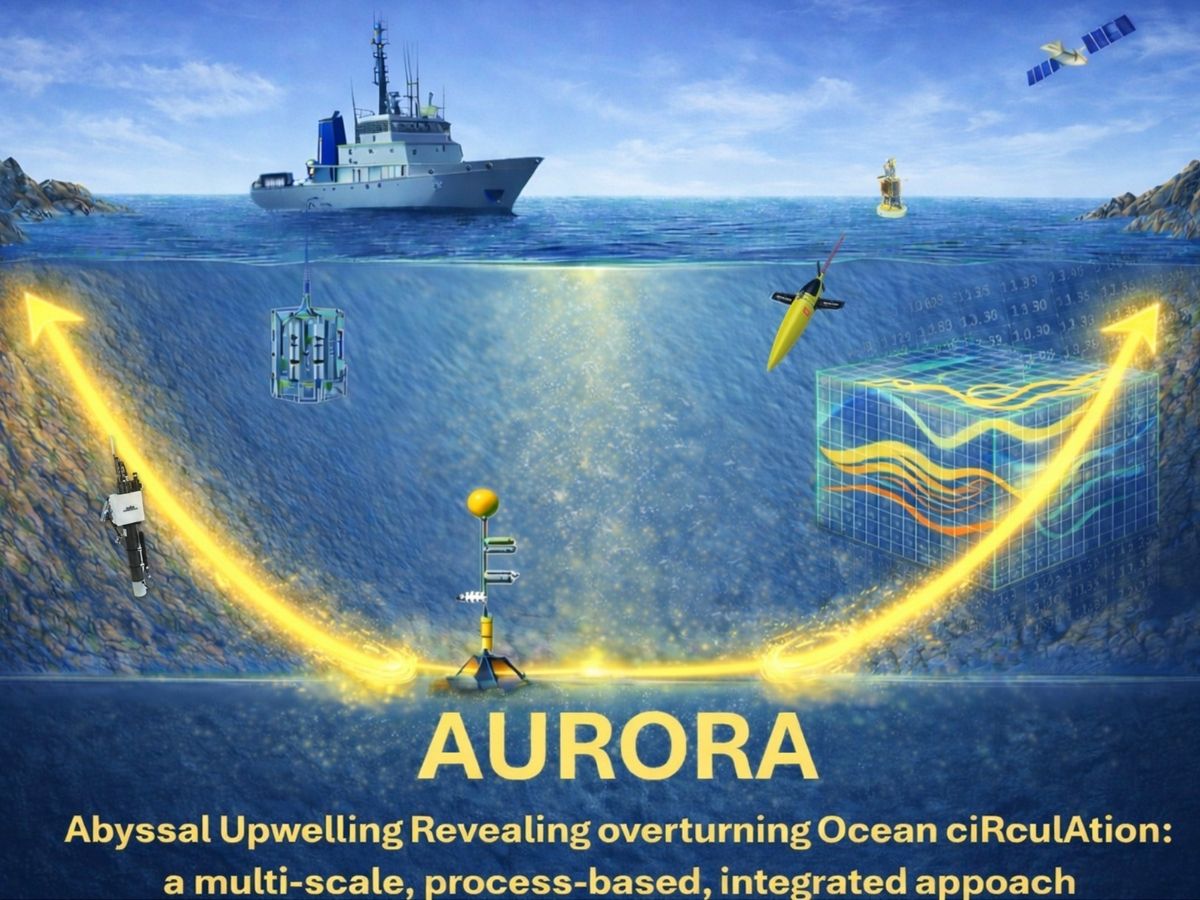 AURORA