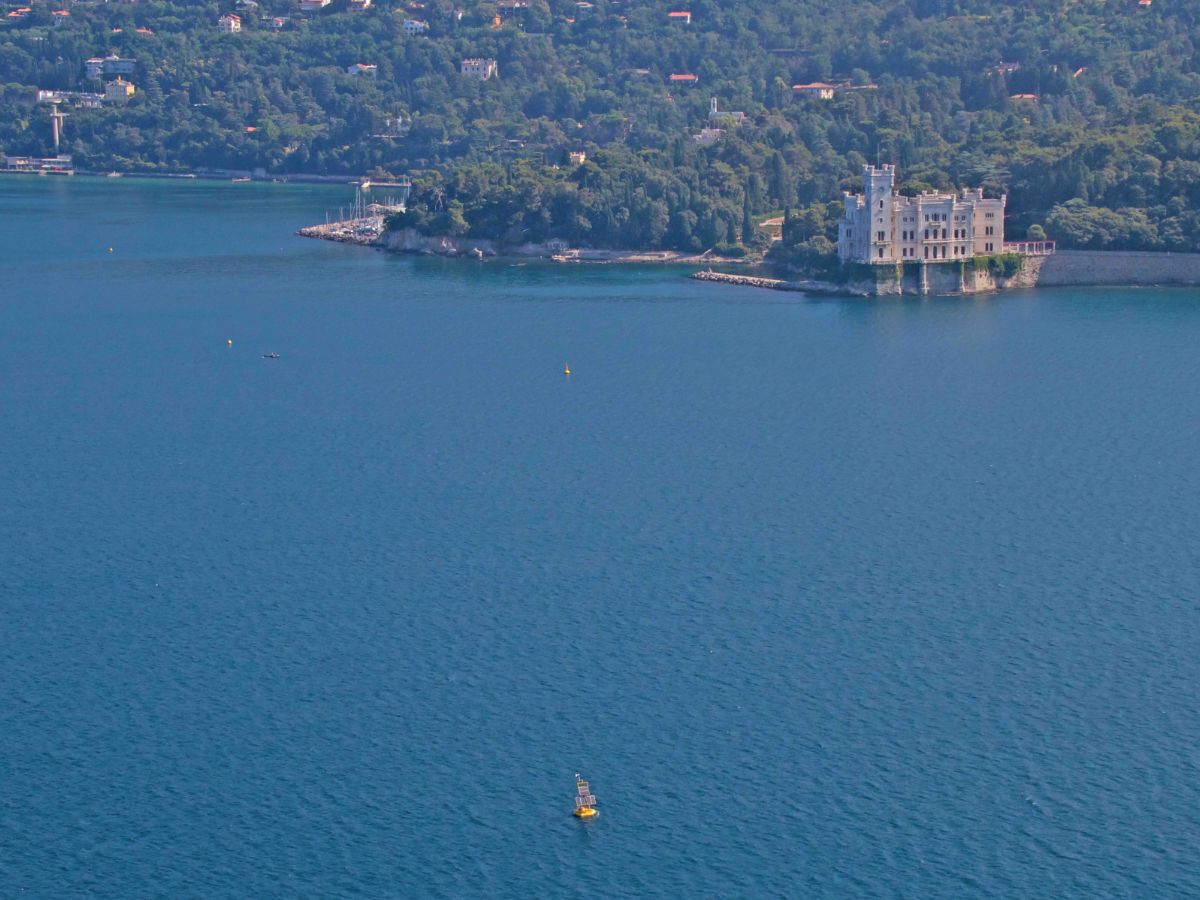 La boa Mambo nel Golfo di Trieste