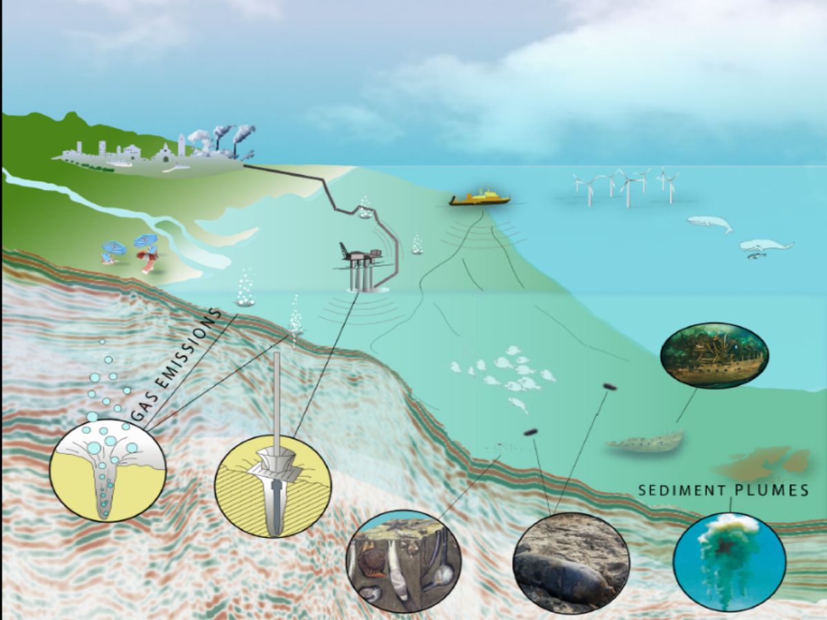 impatto delle attività antropiche e naturali dell'ecosistema marino dovuto alla presenza dei gas idrati nei sedimenti marini.