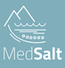 logo medsalt